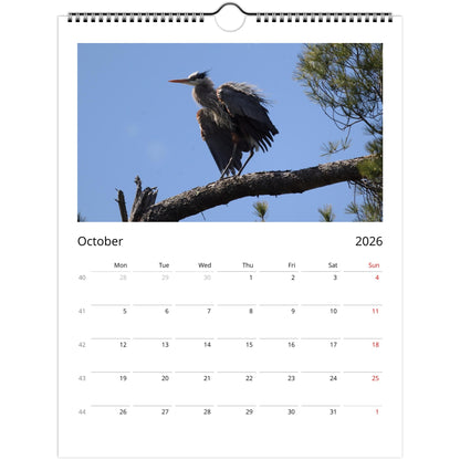 c88aa81a-474c-428a-b3c8-05f59c614952