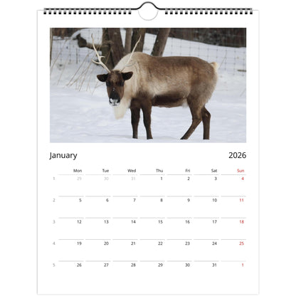 c8920c81-26c9-4437-9403-710dc0a417d0