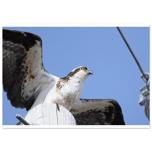 c8d82e30-8edc-4e04-987a-4adf0876fe94