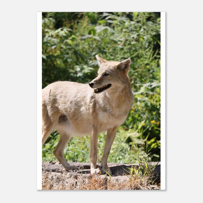 c8e522b8-798d-42a3-af13-3d823bbaebc5