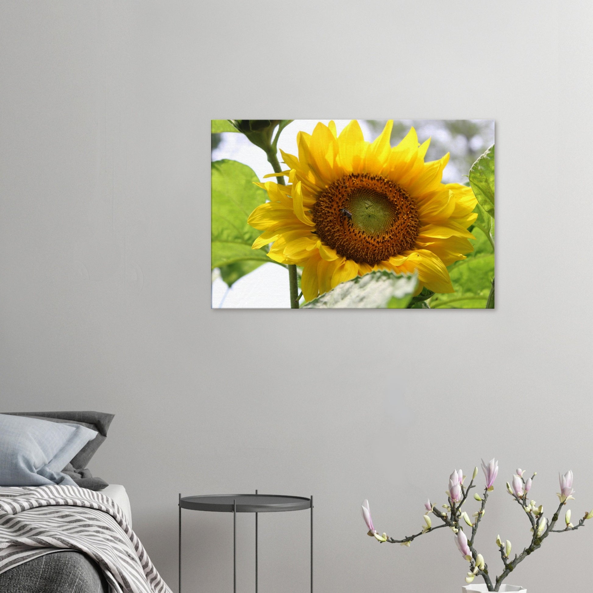 c8f0b0e4-b4d1-43d2-821b-5e8e55dd1b01