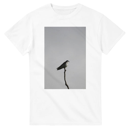 c95d4589-6009-43d4-bc3e-0567290cf7db