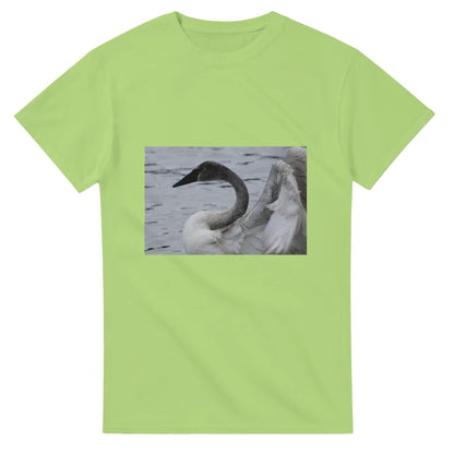 c97074d6-888c-47be-996e-a308da0438d7