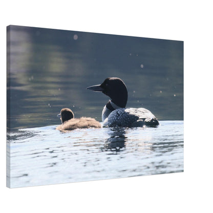 c9b7eb4e-d570-4bb3-bc92-bbf974cad221