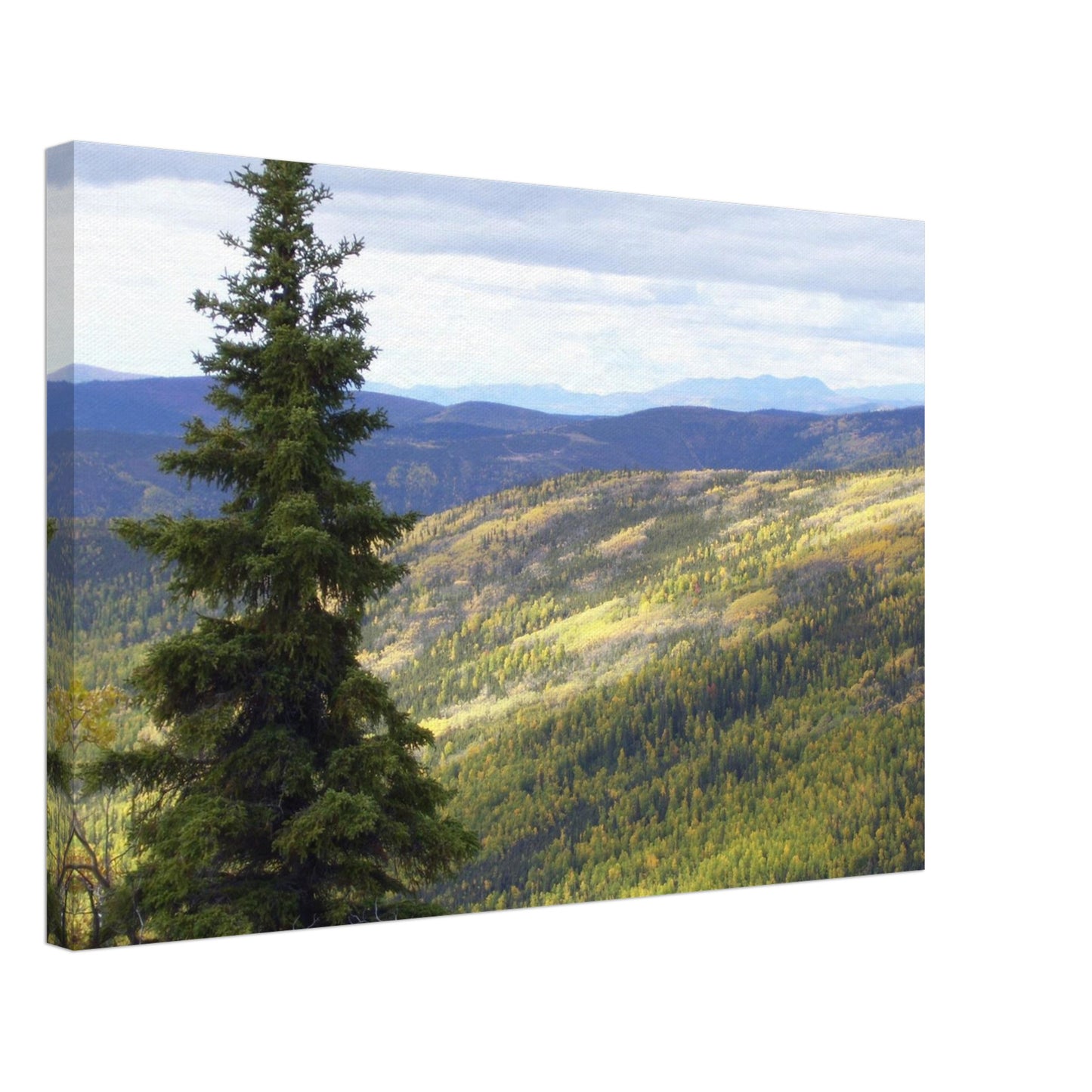 c9dc6ed5-dceb-4a11-82e1-5b372601775f