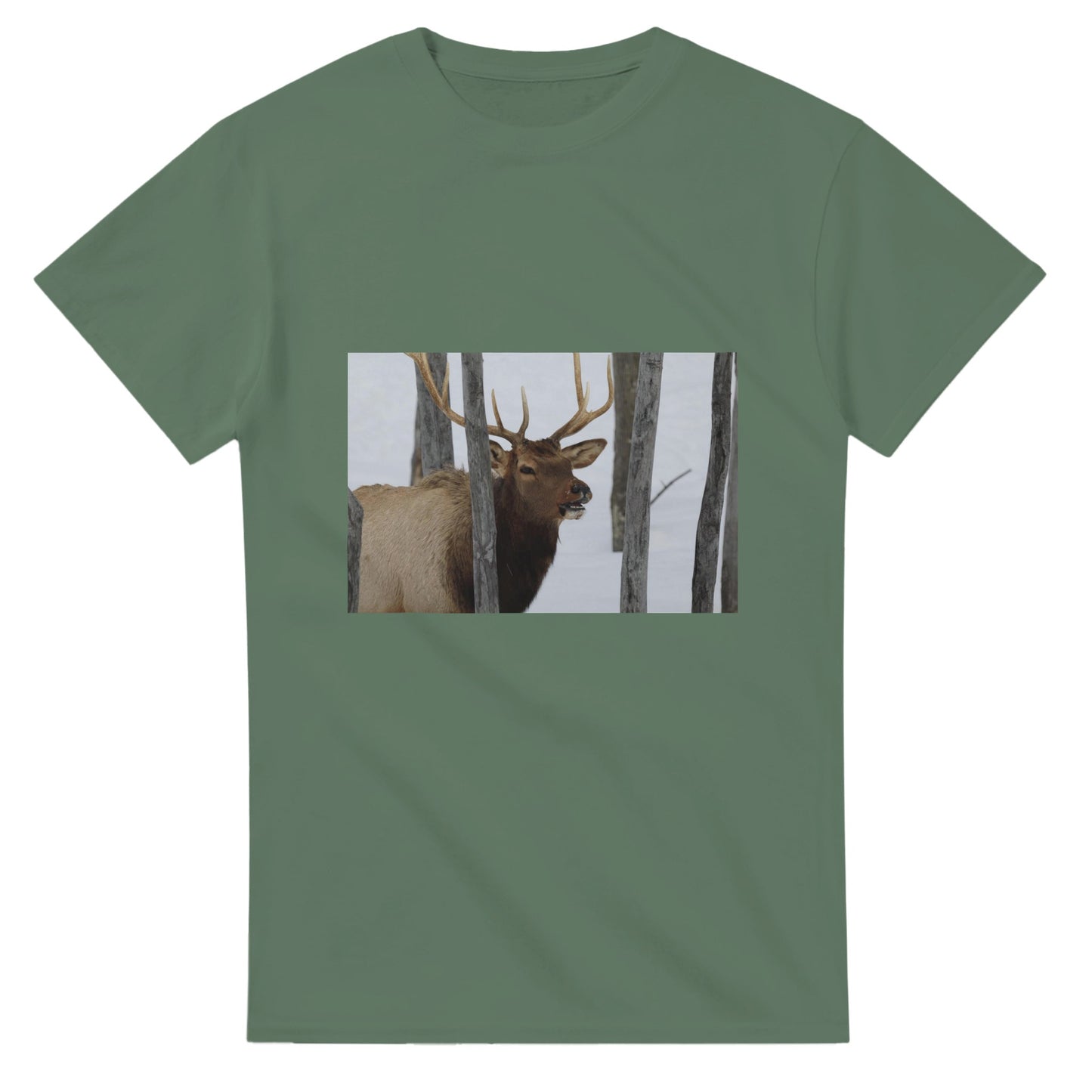 ca133fd2-207e-494d-9fa9-9948b10ab09b