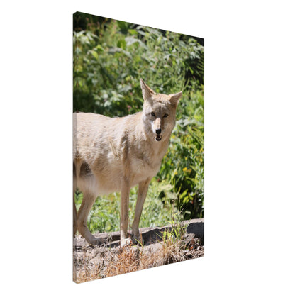 ca6dc400-7af4-43e2-8966-9e7e682e6f63