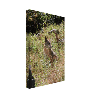 cb5b8df6-f8ff-4ec7-91ae-26e33c4188f3