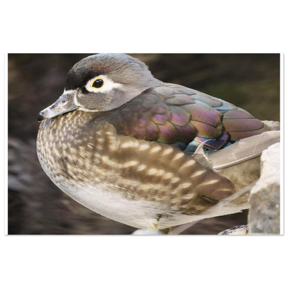 cbfb3596-4044-4a89-846d-9945d4cb55e0