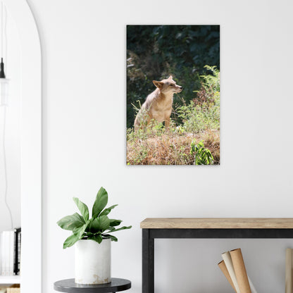 cc8877da-cf21-4dbb-a4f9-bef78d62c4ca