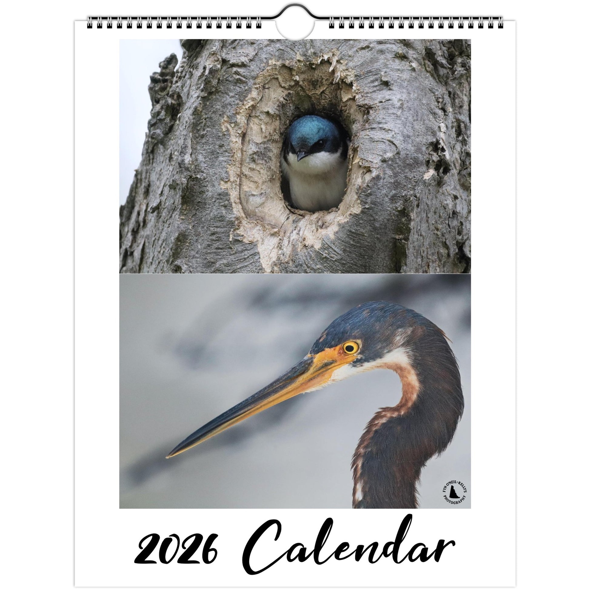 ccb99fc4-dd2b-48ad-b41a-5001a0d1dc88