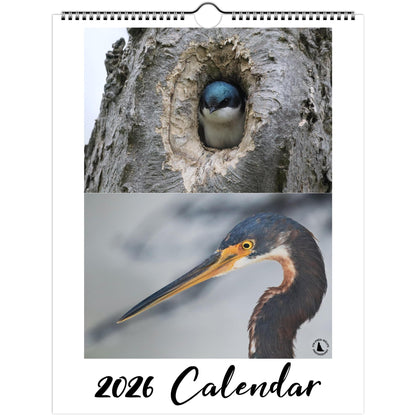 ccb99fc4-dd2b-48ad-b41a-5001a0d1dc88