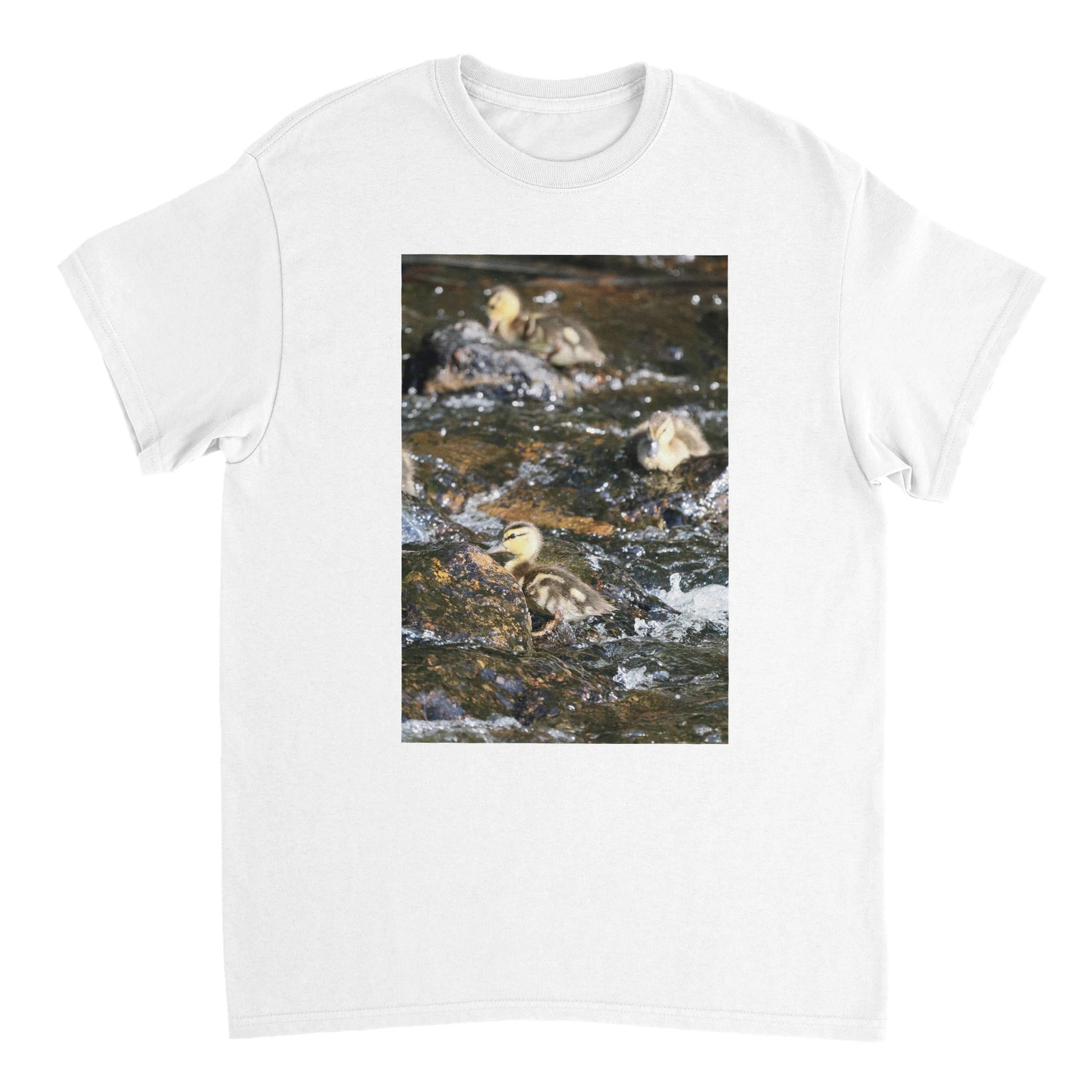 cd29b714-d706-40ea-b45f-ee1ece8f35c6