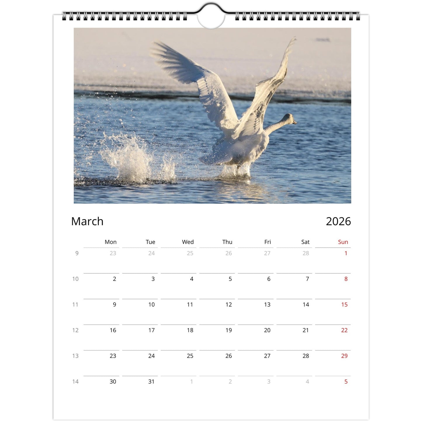 cedefa27-43f4-4c12-b92a-0fa0b552fb94