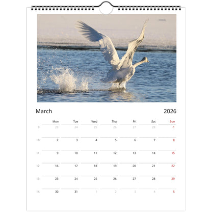 cedefa27-43f4-4c12-b92a-0fa0b552fb94