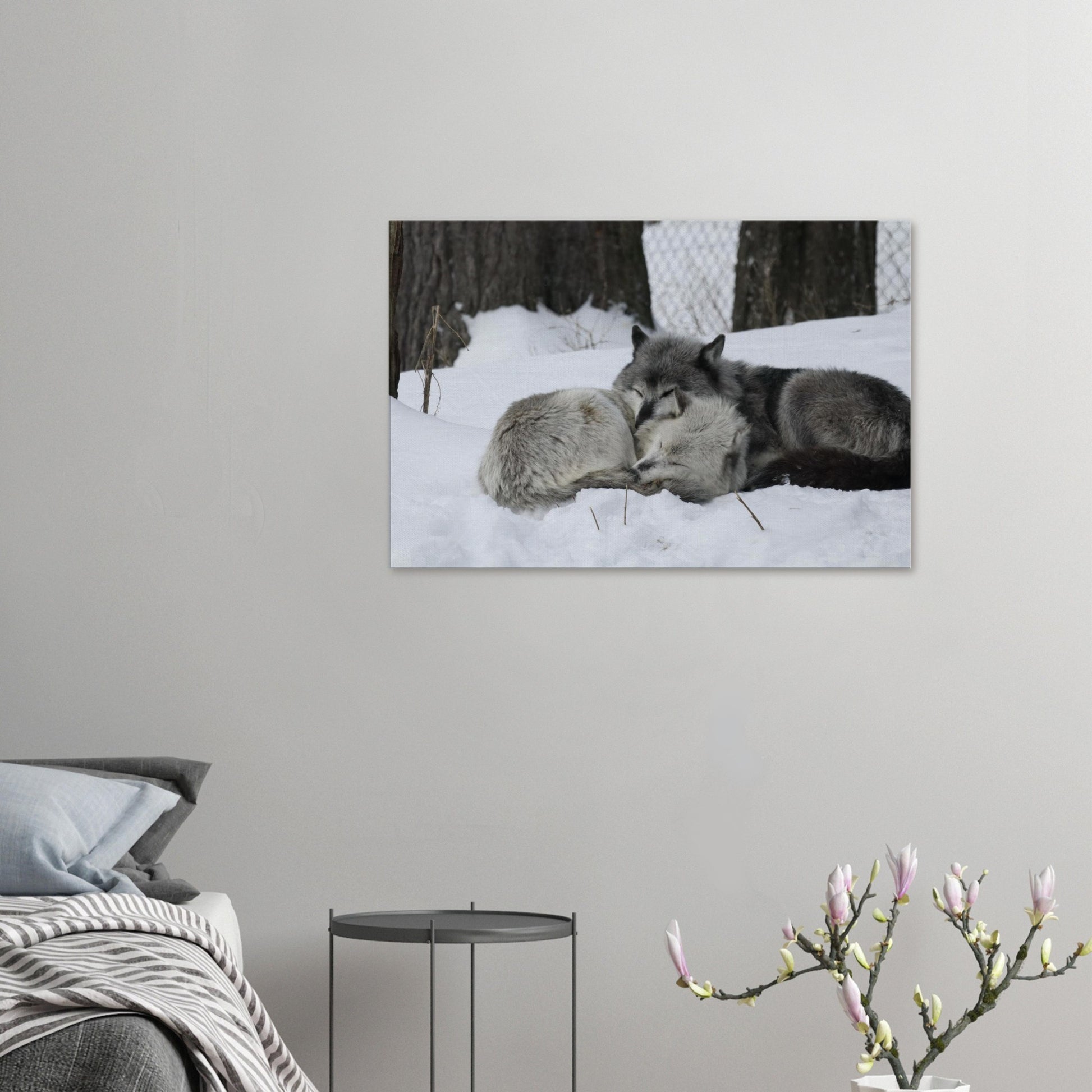 cfae47b2-f056-4dcc-b582-0b7115c9717e