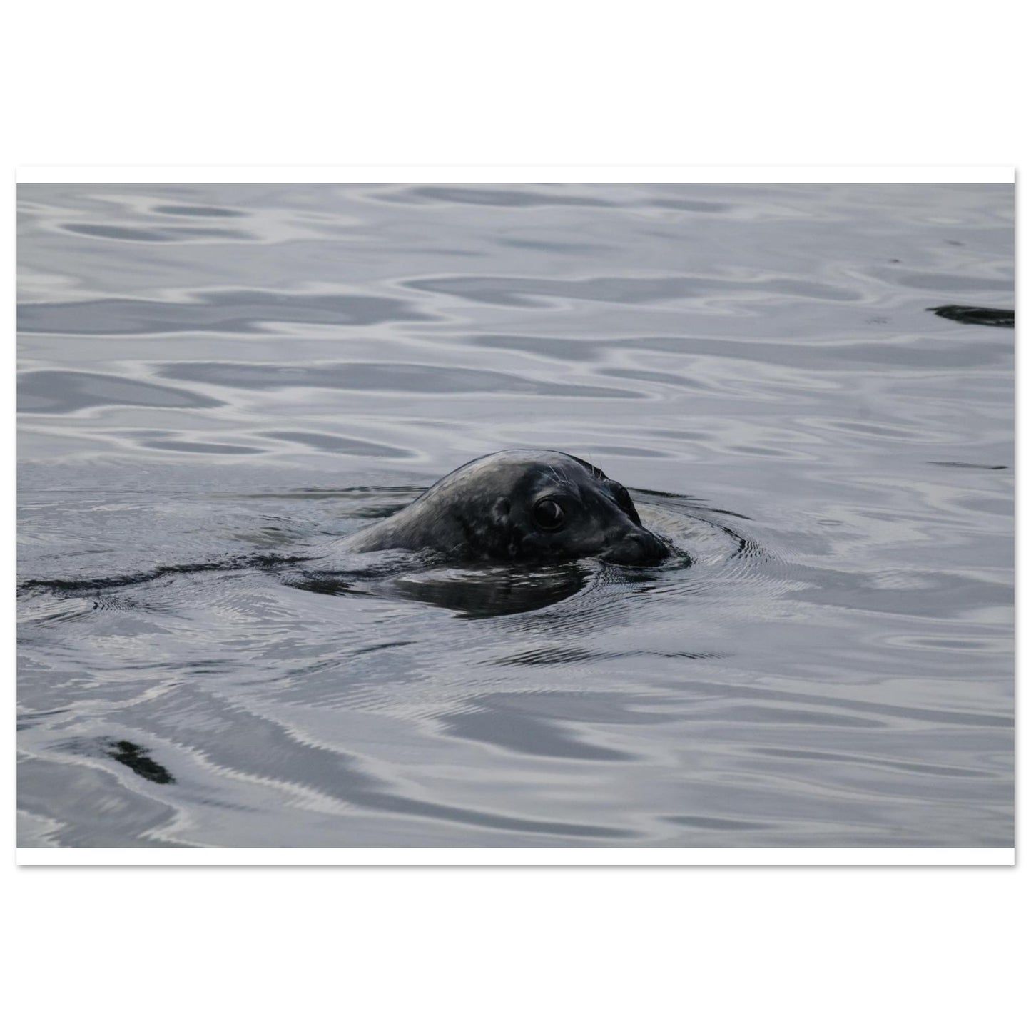 cfdc279d-81b6-4caa-98f1-f3f5cf930f37