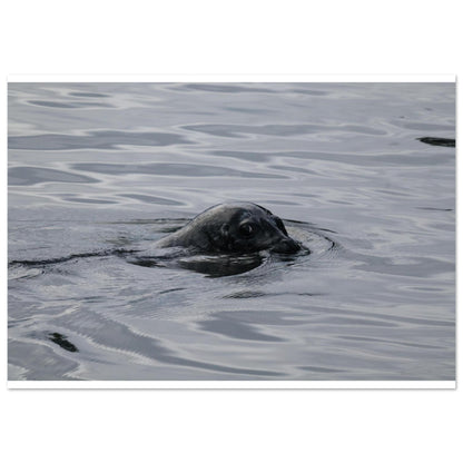 cfdc279d-81b6-4caa-98f1-f3f5cf930f37