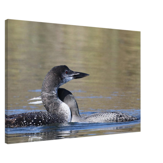 cfe0ed30-2990-4a25-b374-9cf46755cf98