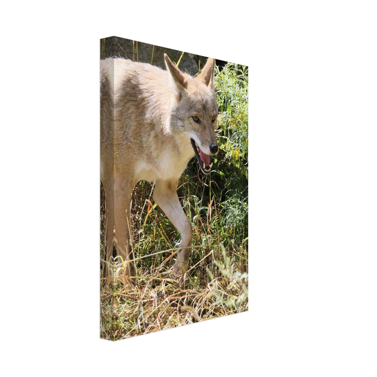 cfede3cf-23eb-45ad-8738-021711fcc5b7