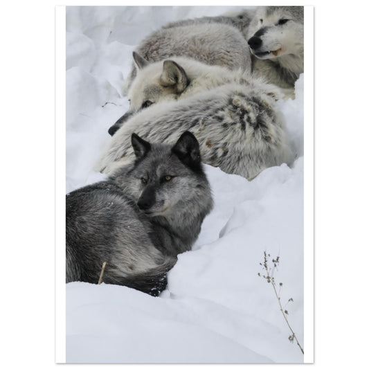 cff640b5-364d-4cb6-91e8-01ebbbf9ac4e