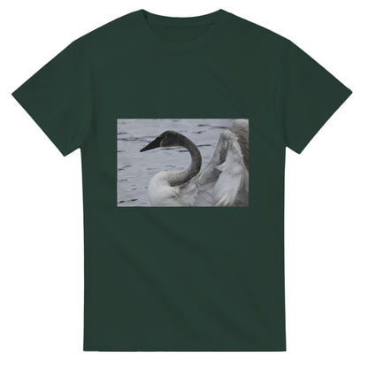 d02e4e50-69e3-4bb9-8bdd-a894d7086ea0