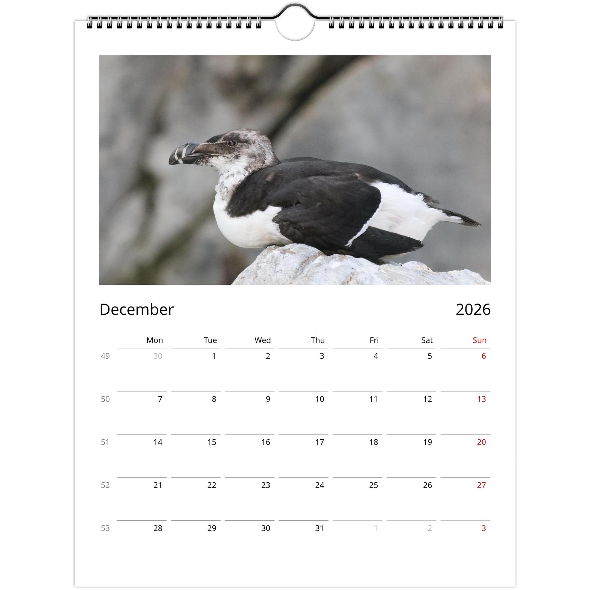 d0526e1c-3e3a-4a8d-aa0d-d23868c9b629