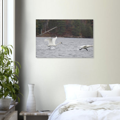 d13969dc-aaa4-4c79-a04f-ac5a89560738