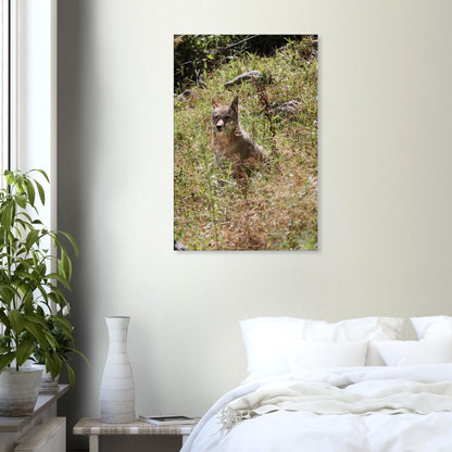 d1a909d8-6dbc-4f27-8814-cc4a7c274655