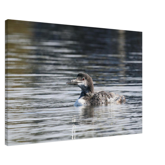 d1bf6ebc-93c3-463f-bd58-1fd6ae9196ea