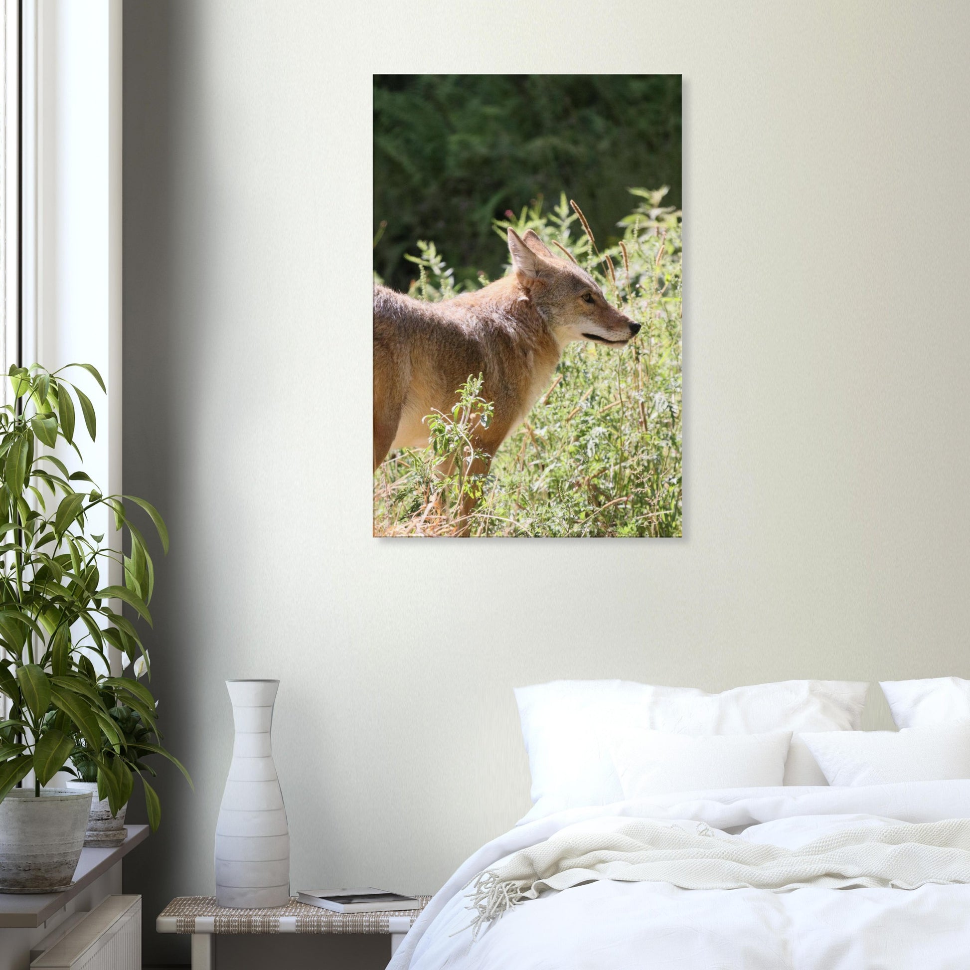 d1d26fcb-a806-4838-b935-8e21e79efbbc