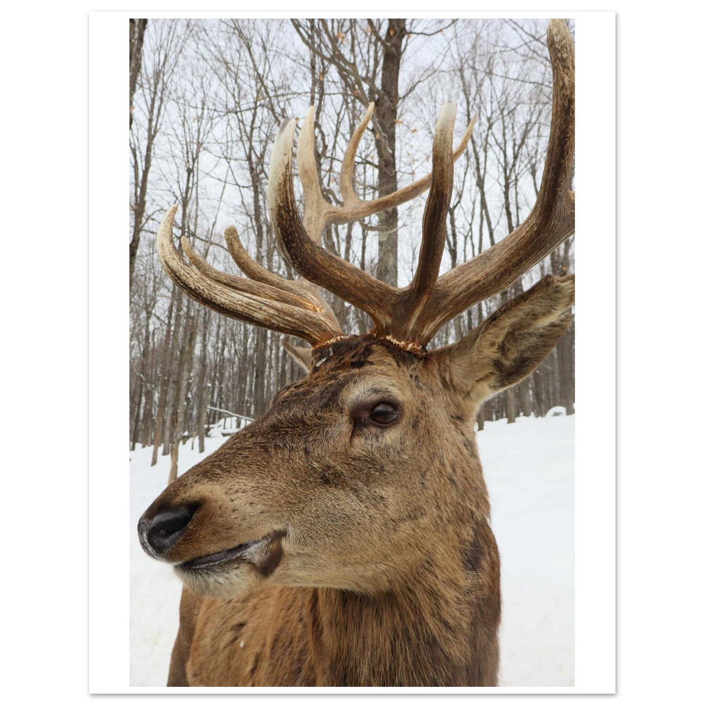 d1f54bbd-bed6-4b26-bca9-efc1e32162cf