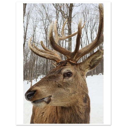 d1f54bbd-bed6-4b26-bca9-efc1e32162cf