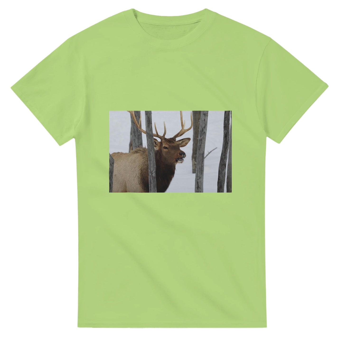 d1fd43c3-8286-4d6d-abbf-87acad3bd676