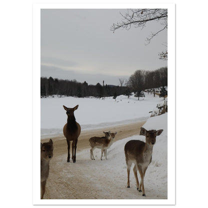 d275340c-4590-4f94-98e8-26909cae4be2