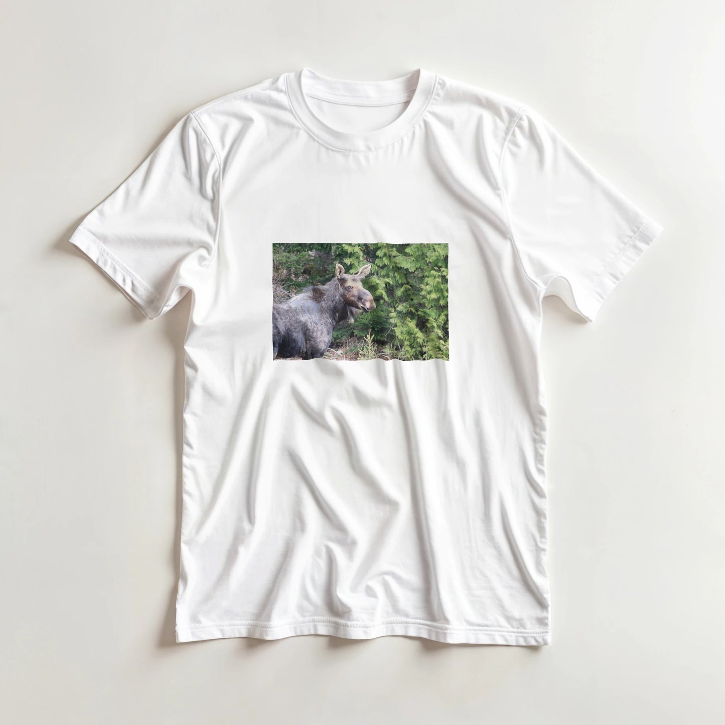 d298dbf4-d8aa-4889-b091-24c60f8ea2b7