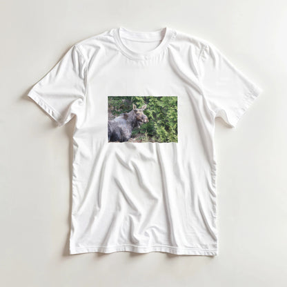 d298dbf4-d8aa-4889-b091-24c60f8ea2b7