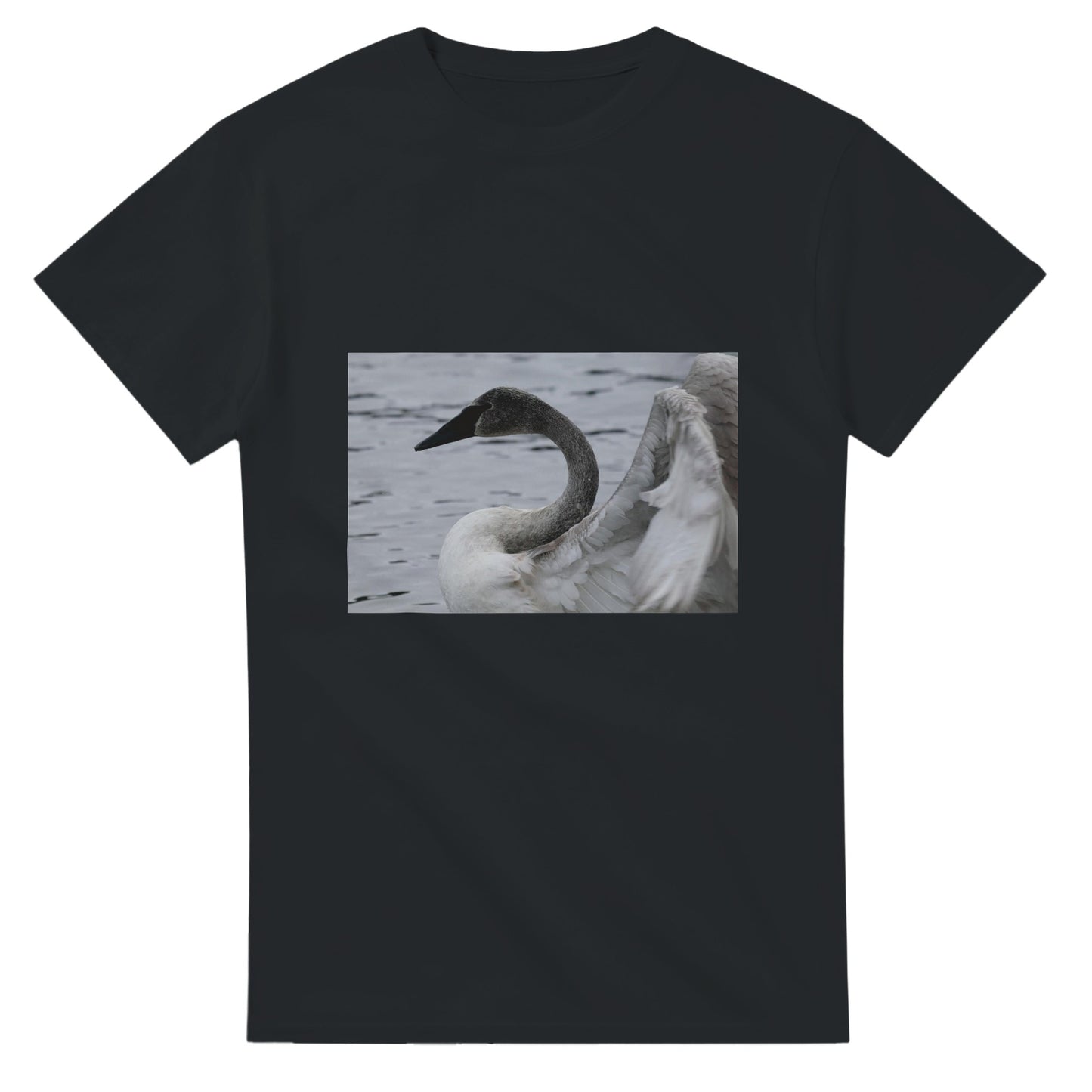 d33f169a-6240-4e4c-af63-47a6ad9ddf1b