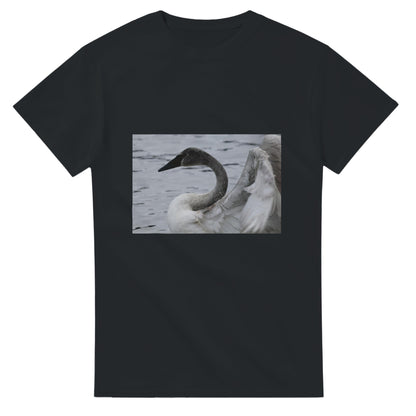 d33f169a-6240-4e4c-af63-47a6ad9ddf1b