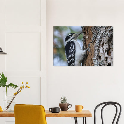 d3636a51-887f-4dc4-b376-f1efcfde8309