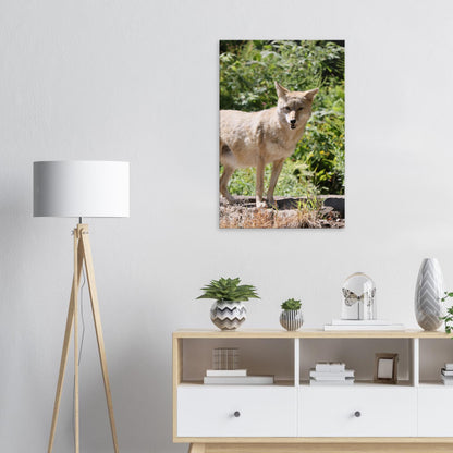 d36bf1e6-0711-4c20-8078-d1e70a8816c8