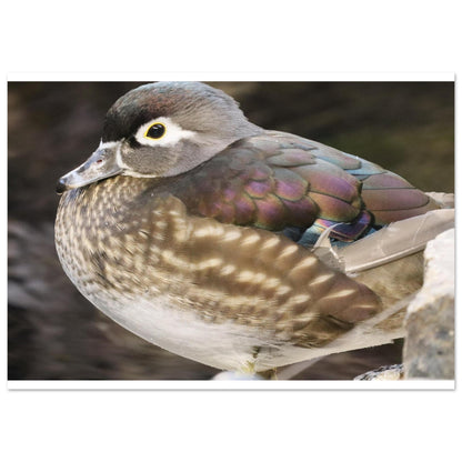 d42b7fe1-dc0e-401b-bf4b-7e2378d733eb