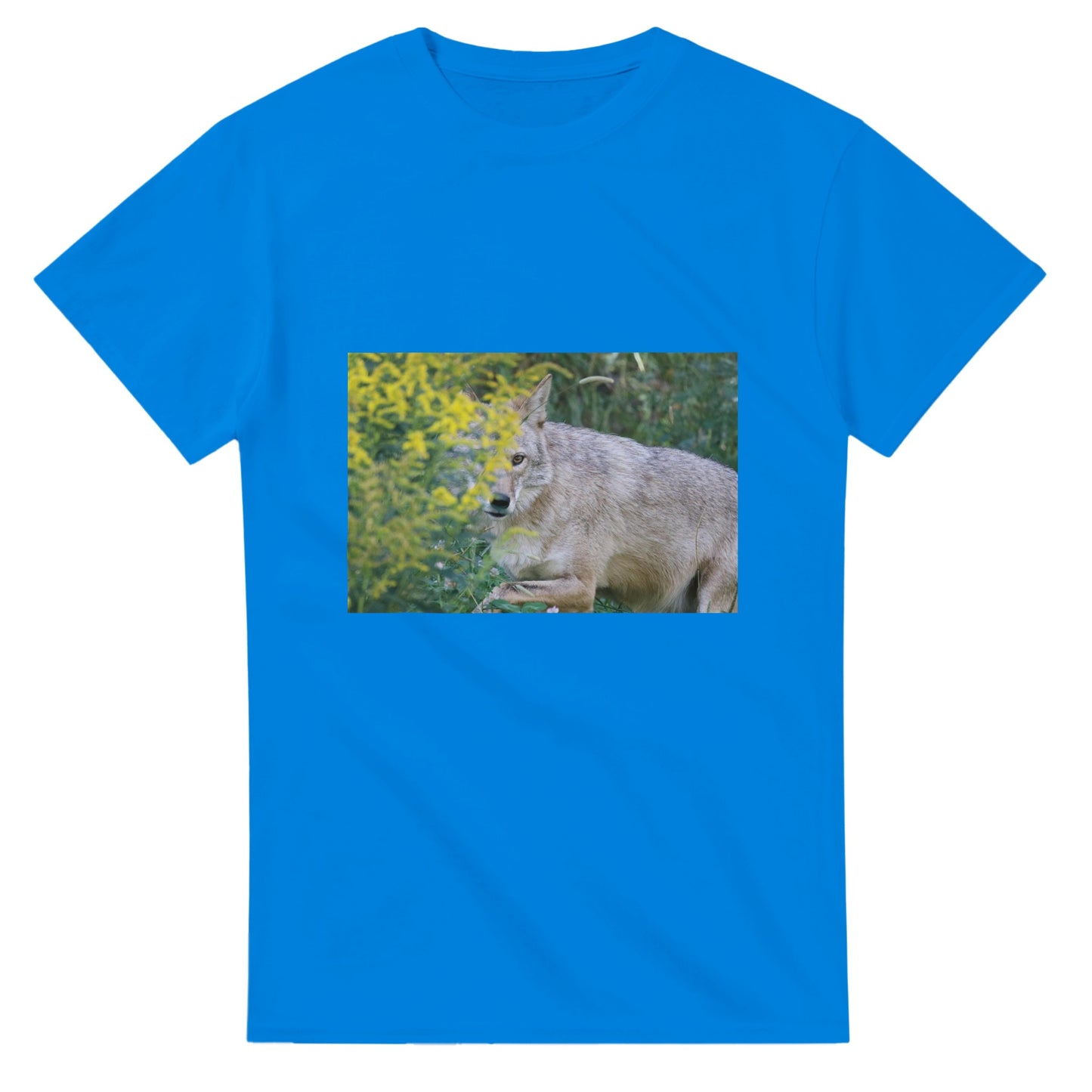 d43f94c5-ddaa-4bf0-bb05-0670c27507d1