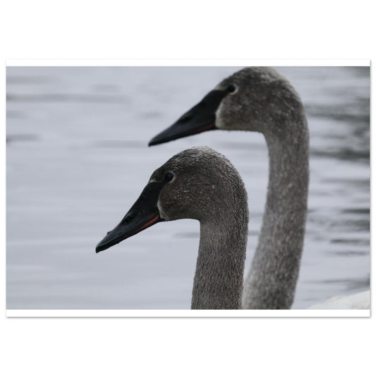 d48e13c5-f8d5-402b-8c2b-5c7749b902e7