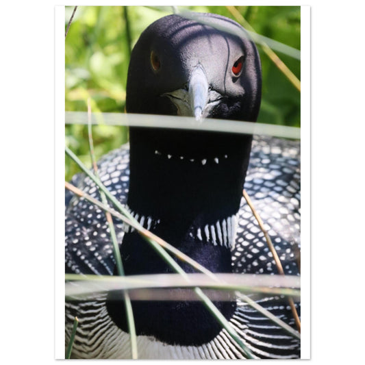 d49feb6e-3330-421b-9ea2-cbfcd99e3084