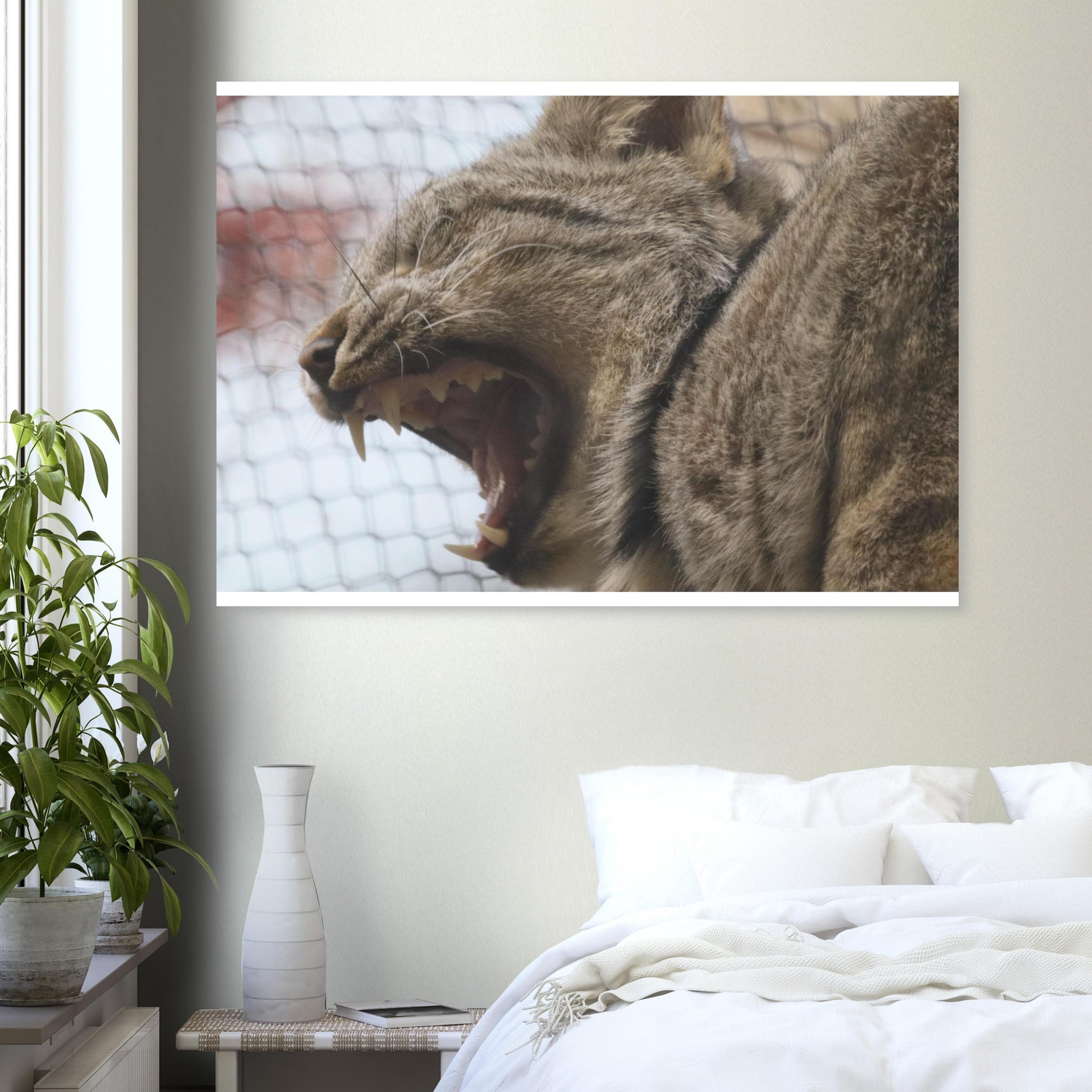 d4cb2ce6-c3c6-43a0-b553-815f38619df6