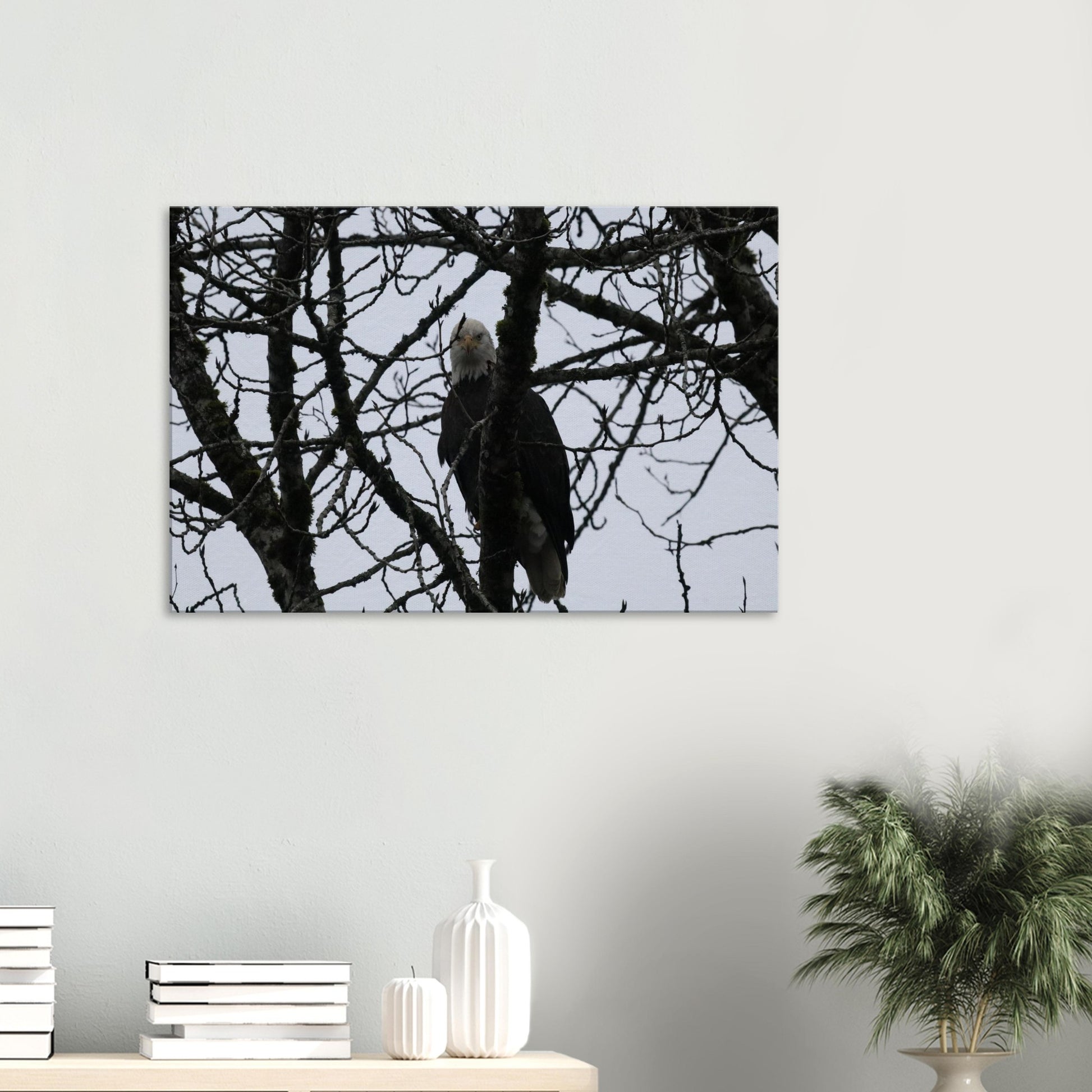 d5115a8d-e26e-4364-b225-2fc3745c763a