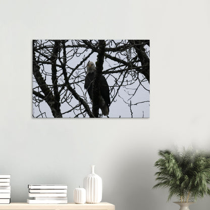 d5115a8d-e26e-4364-b225-2fc3745c763a