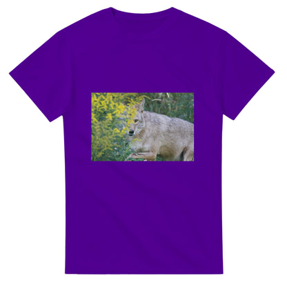 d5316ad4-f1d8-414d-8e81-aef36e1c25b1