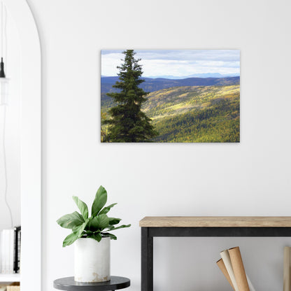 d552a684-1cf9-472a-9024-1970a5be3b46